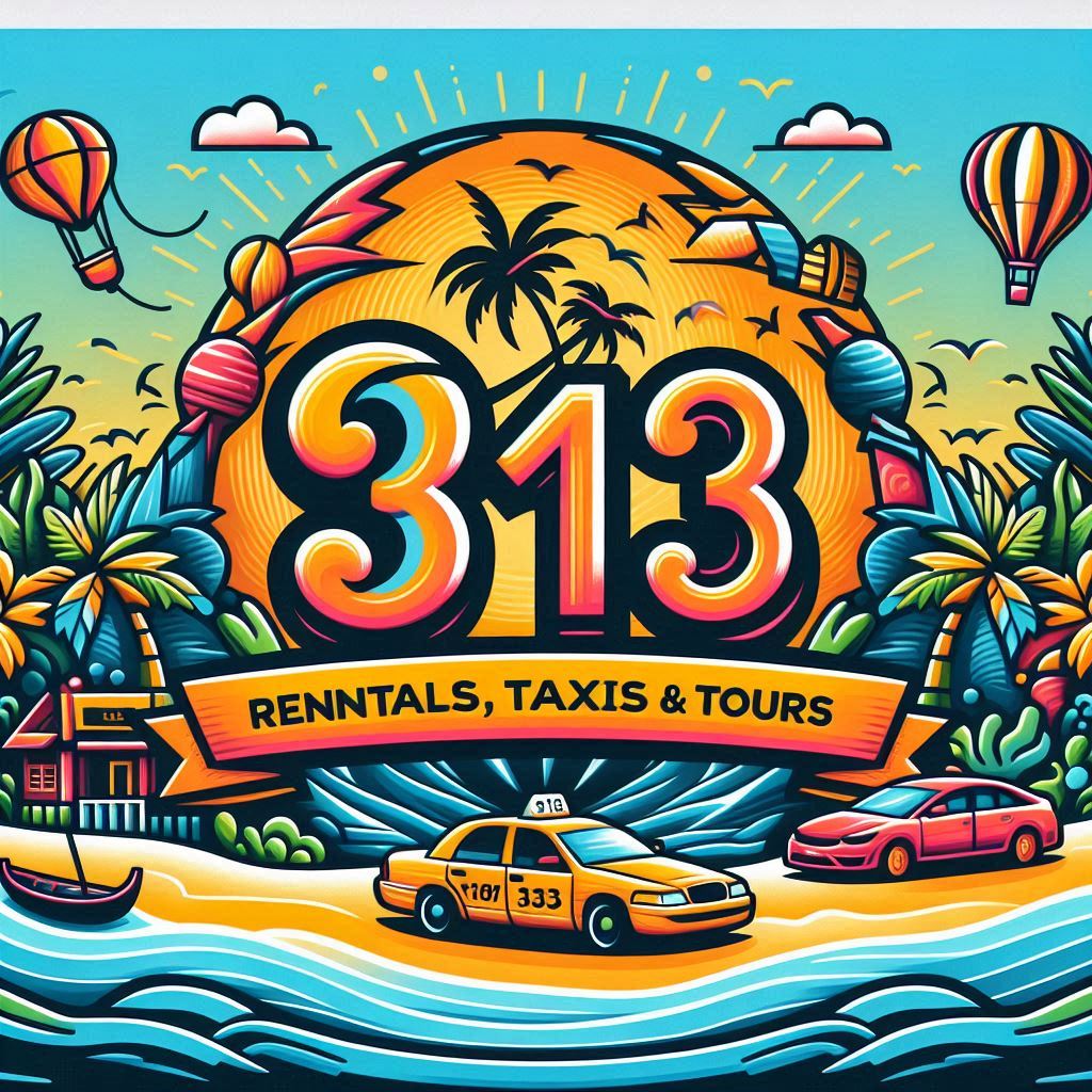 313 Rentals Fiji